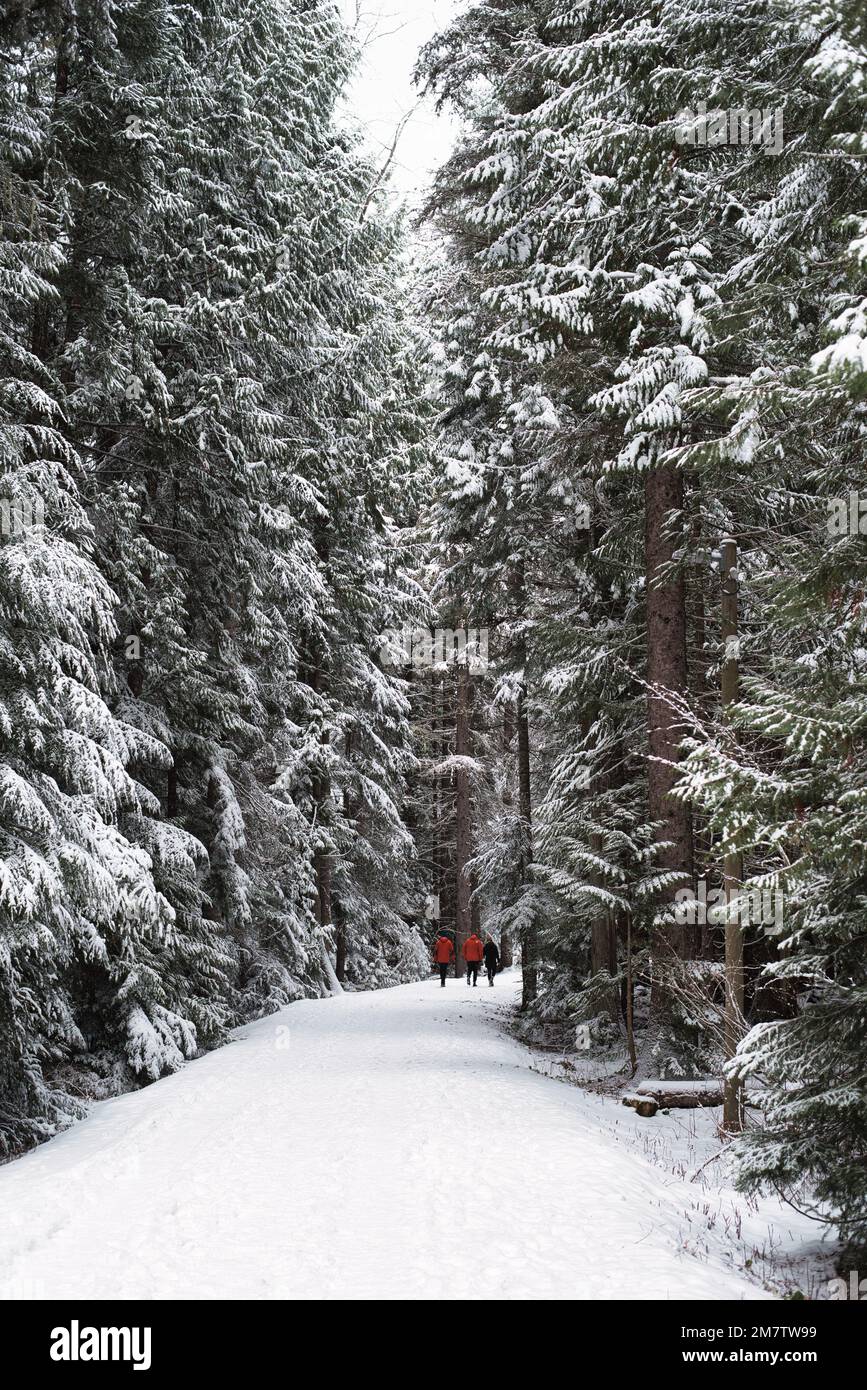 Whistler British Columbia in Winter Stock Photo