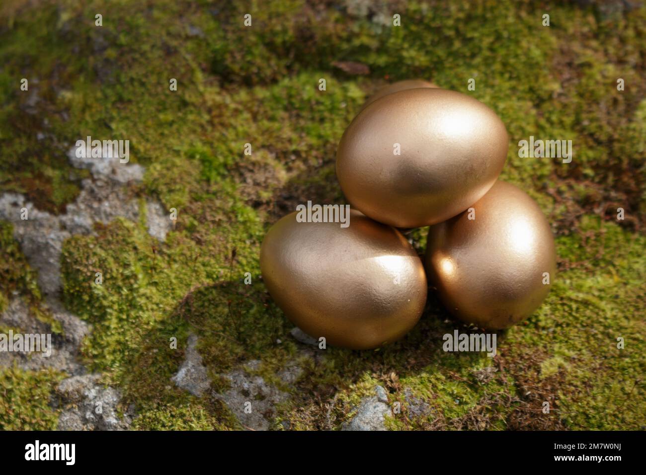 Four golden Easter eggs on moss Stock Photo