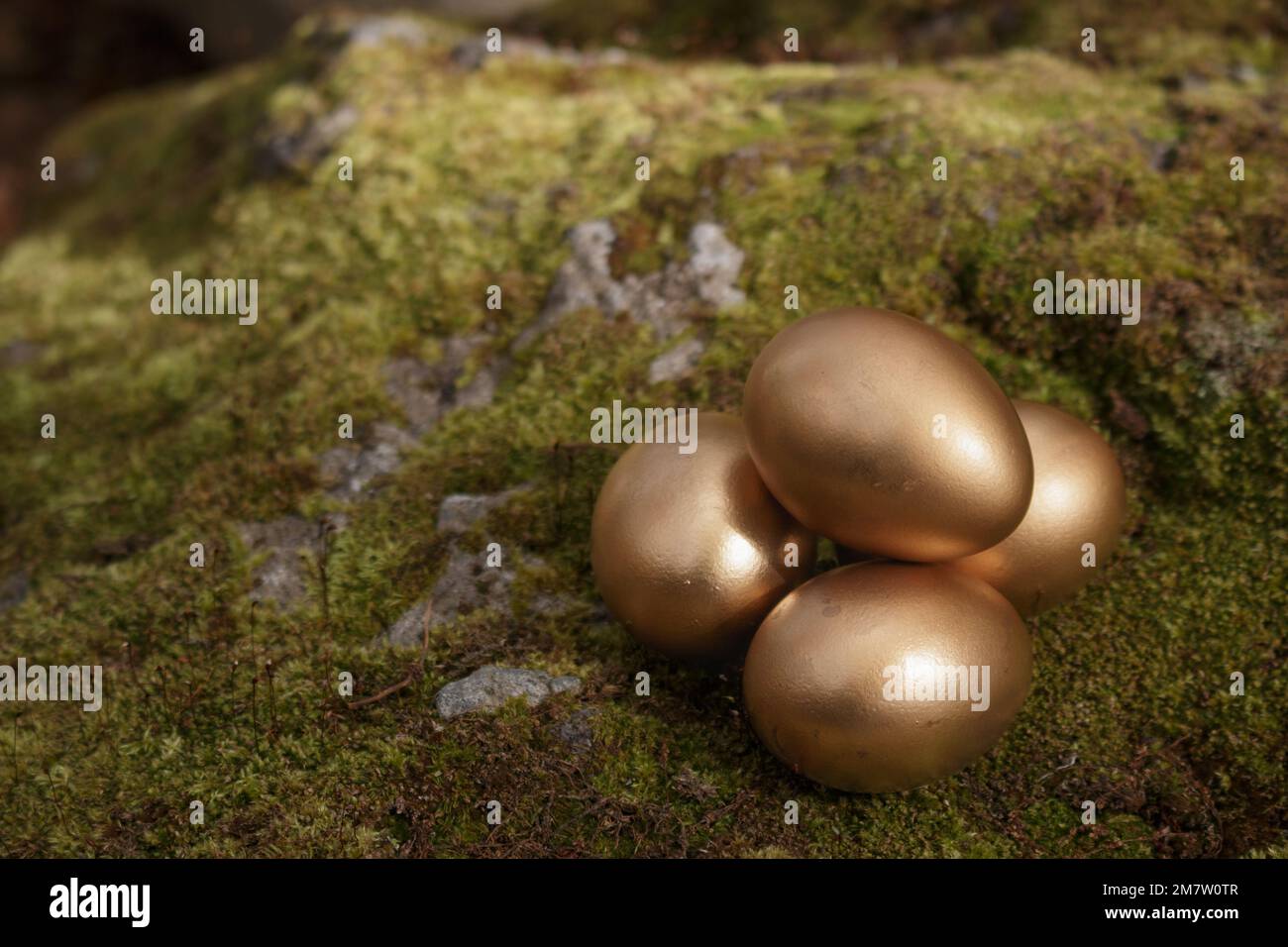 Four golden Easter eggs on moss Stock Photo
