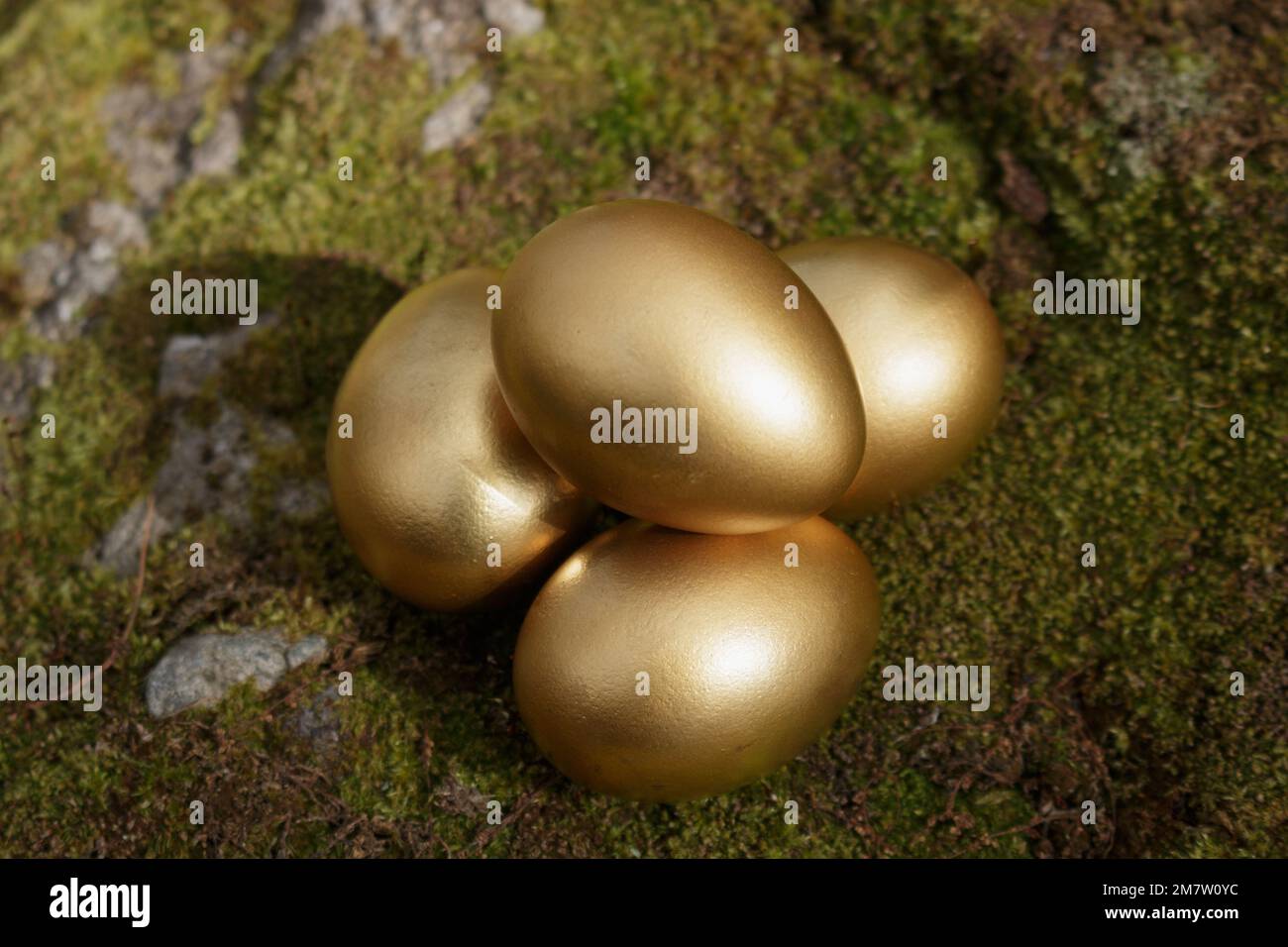 Four golden Easter eggs on moss Stock Photo