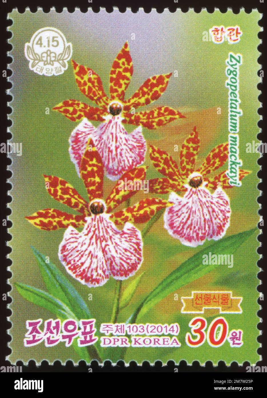 2014 North Korea stamp set. Orchids as gifts for Kim Il Sung. Birthday serie. Zygopetalum maculatum,  Zygopetalum mackayi Stock Photo
