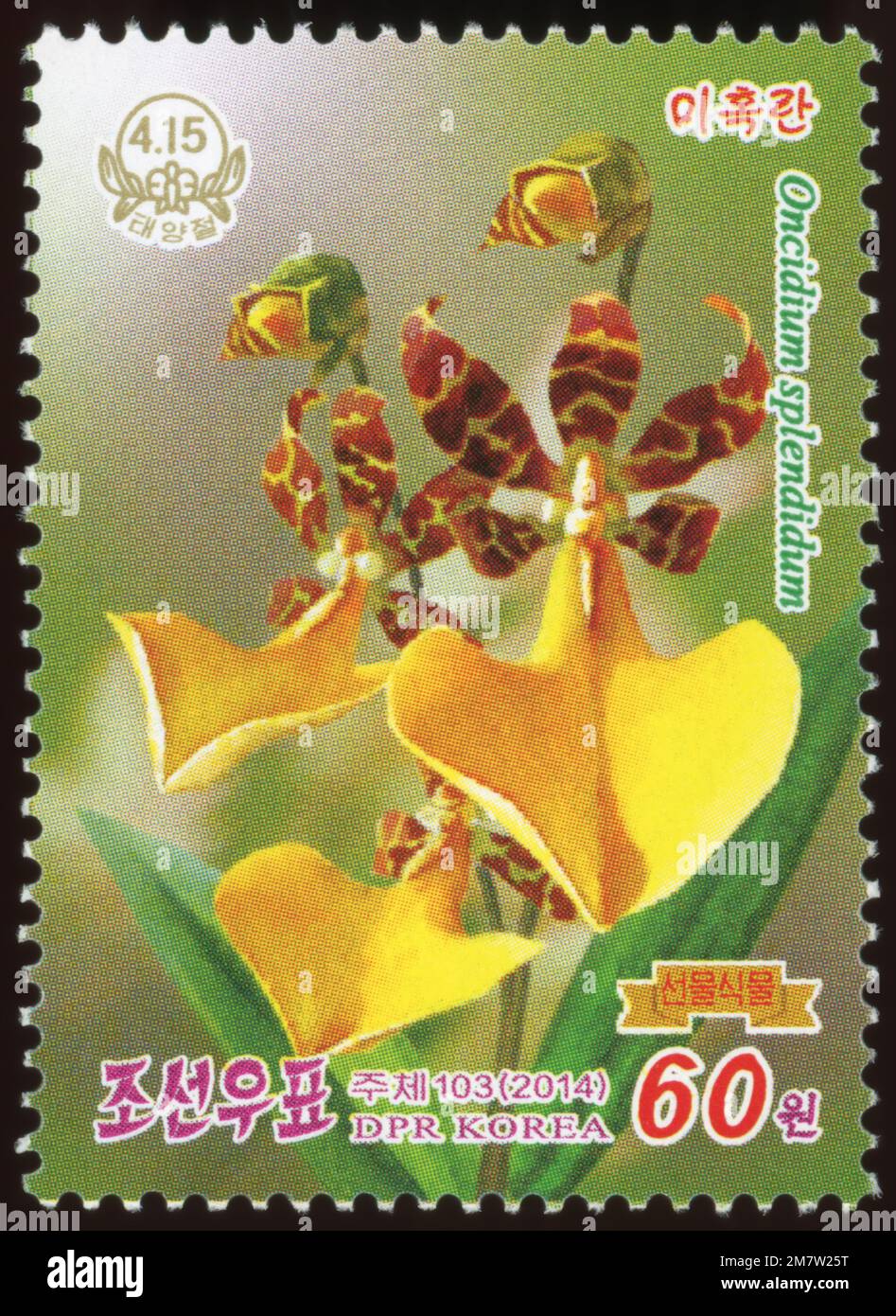 2014 North Korea stamp set. Orchids as gifts for Kim Il Sung. Birthday serie. Oncidium splendidum,  Trichocentrum splendidum Stock Photo