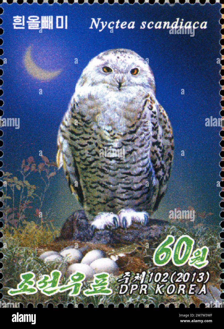 Stamps - Owls Set 2 Graphic by DaniJo Avia Designs · Creative Fabrica