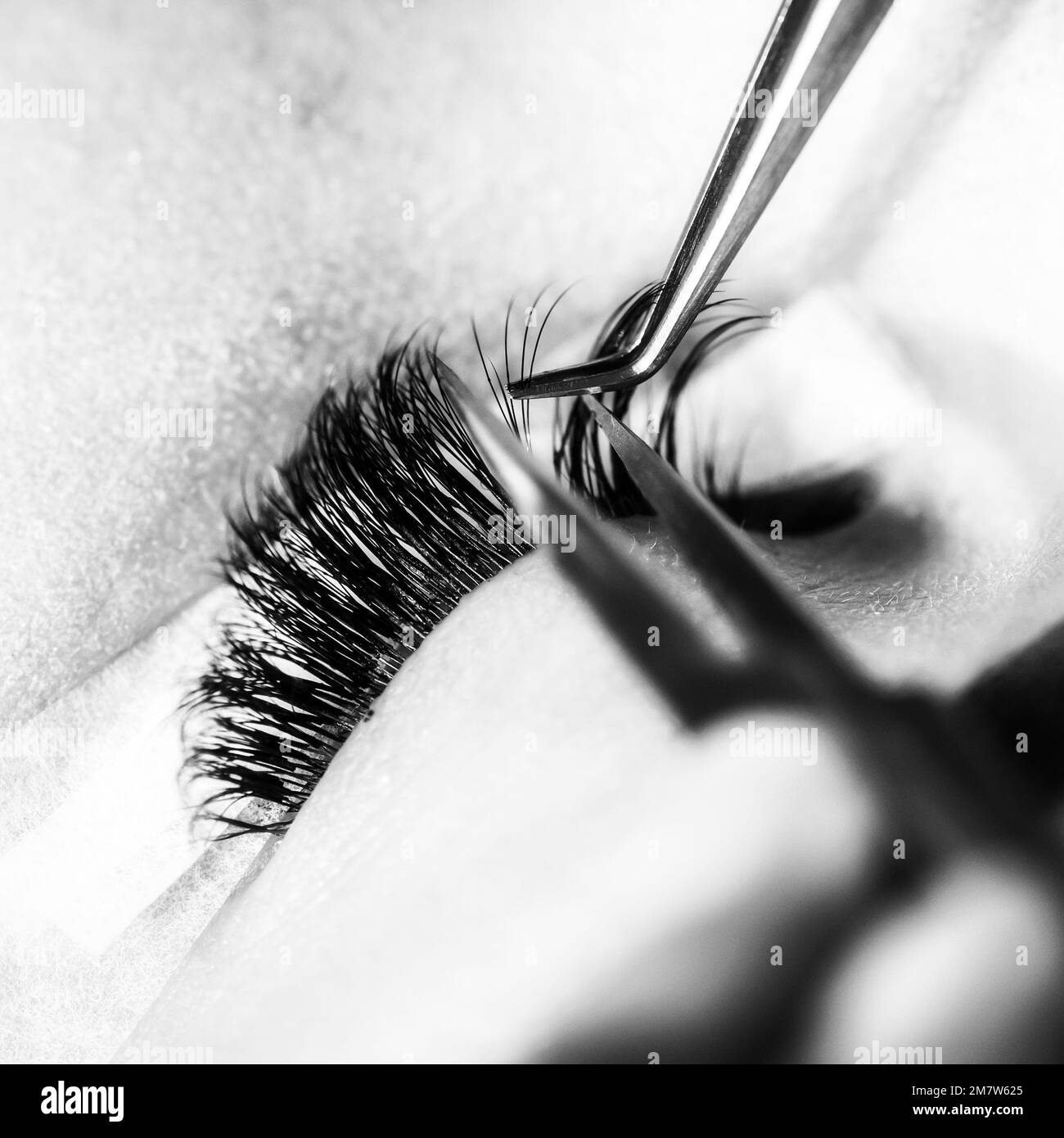 Makeup closeup. Eyebrow makeup. Eyelash extension. Black and whte shot