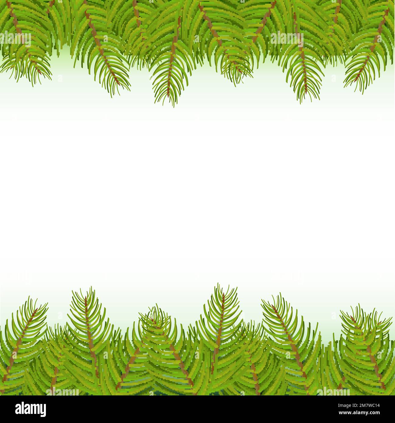 Coniferous detail Stock Vector Images - Alamy