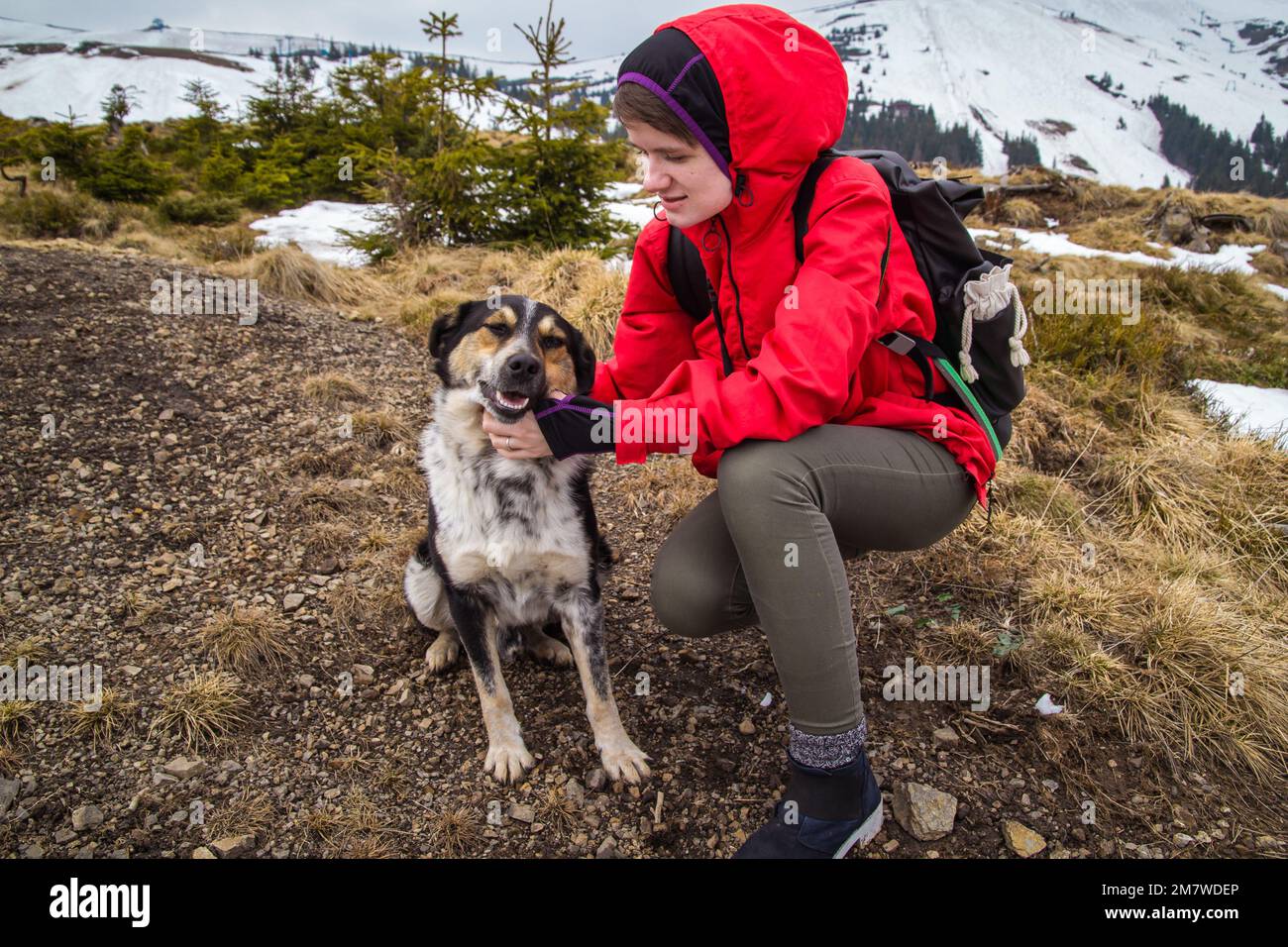 Woman scratching dog at highland scenic photography Stock Photo
