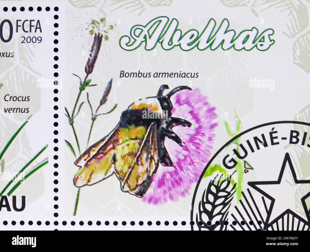 MOSCOW, RUSSIA - JULY 12, 2022: Postage stamp printed in Guinea-Bissau shows Bombus armeniacus, serie, circa 2009 Stock Photo
