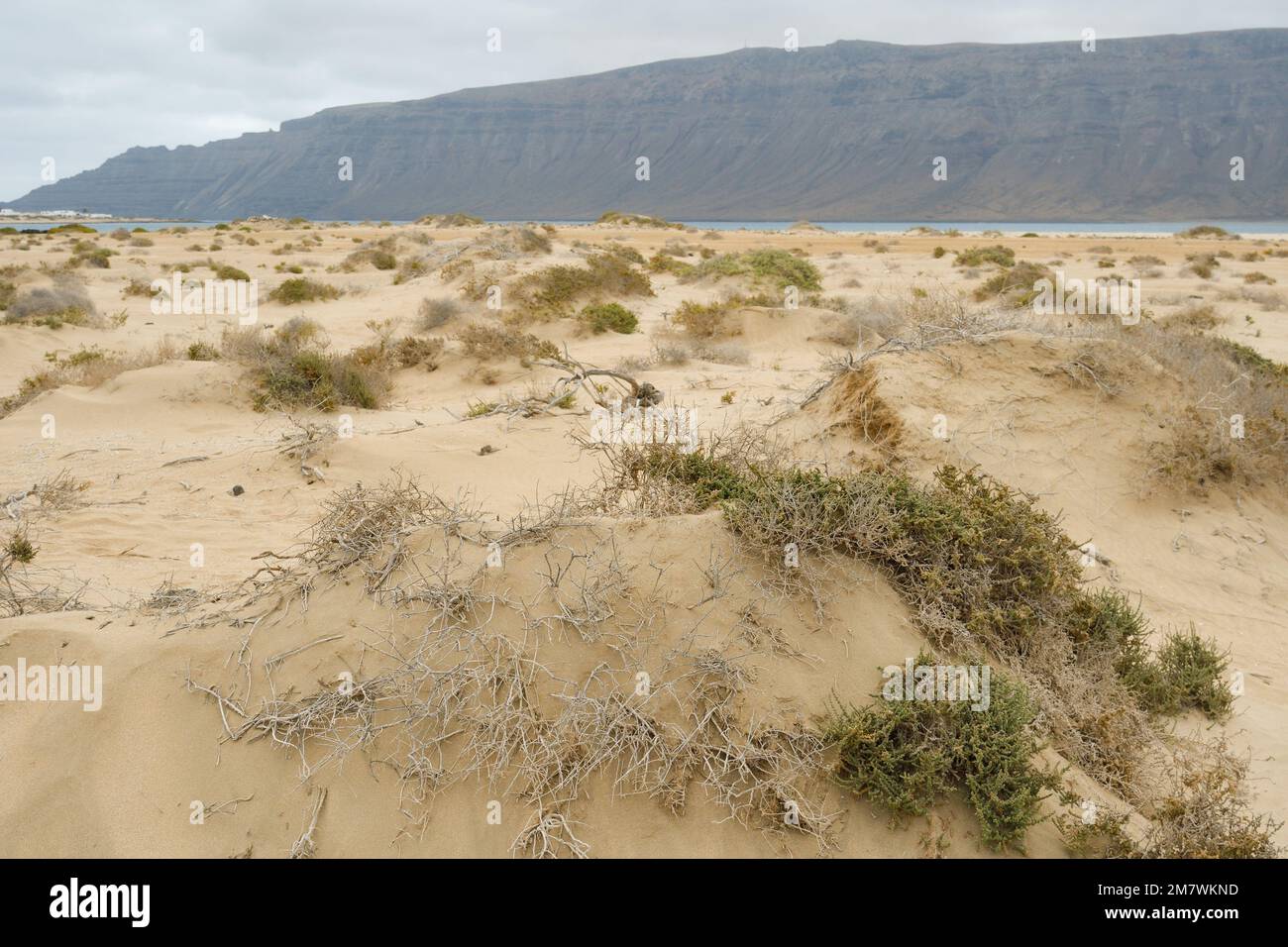 Dune landscape next to Montaña amarilla on the island of La Graciosa. Stock Photo