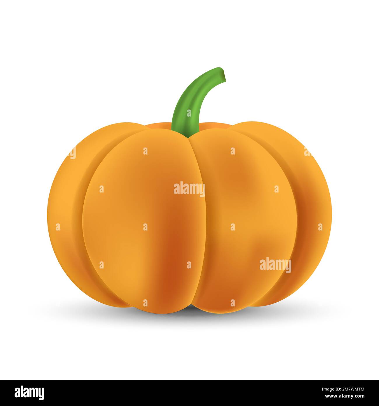 Realistic pumpkin isolated on white background. Vector illustration ...