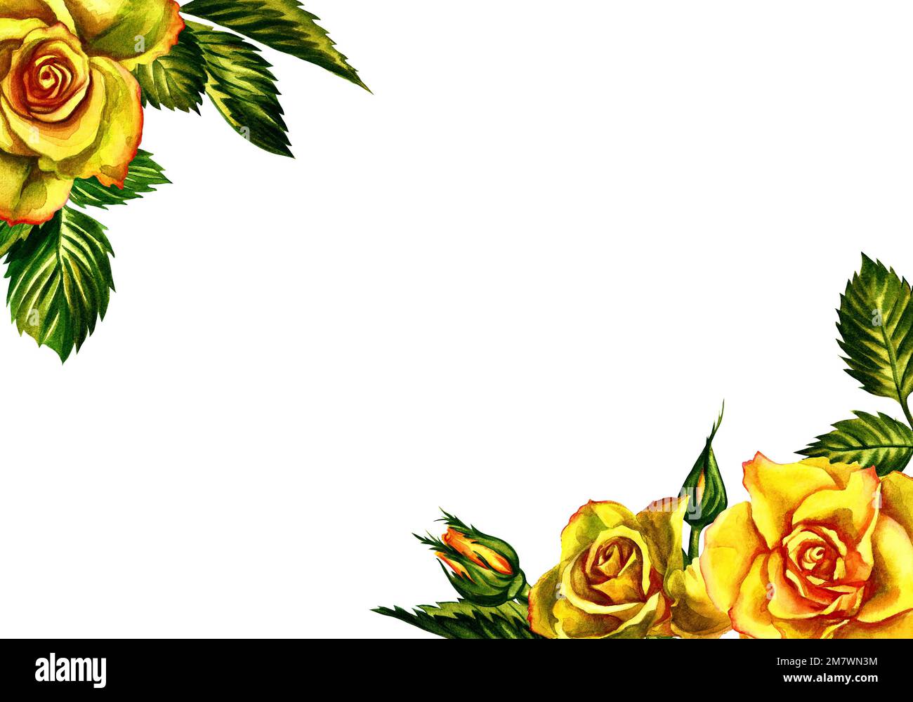 Yellow Rose Invitation Borders