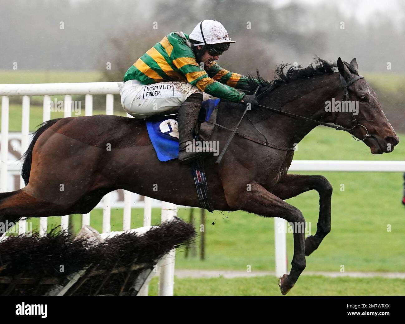 Comfort zone horse hires stock photography and images Alamy