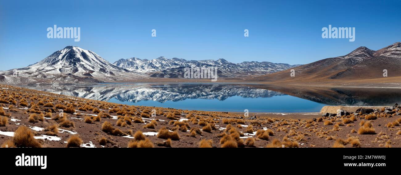 Panoramic of laguna Miscanti Stock Photo - Alamy