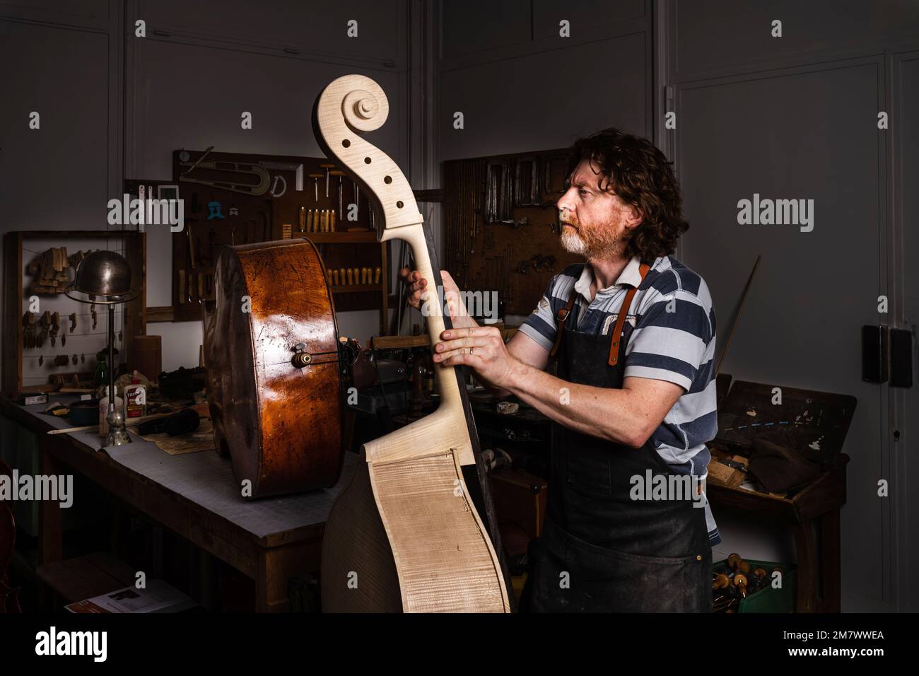 Troyes (north-eastern France): Laurent Demeyere, stringed instrument maker specialized in double bass. Here, making a double bass. Gestures Stock Photo