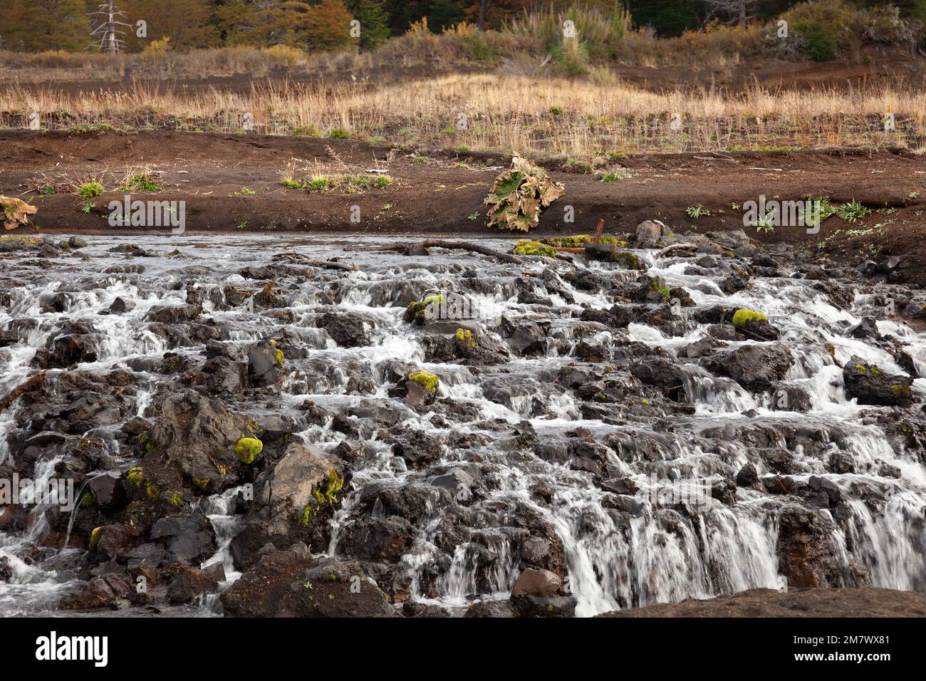 Thaw in Conguillio Park. Chile Stock Photo