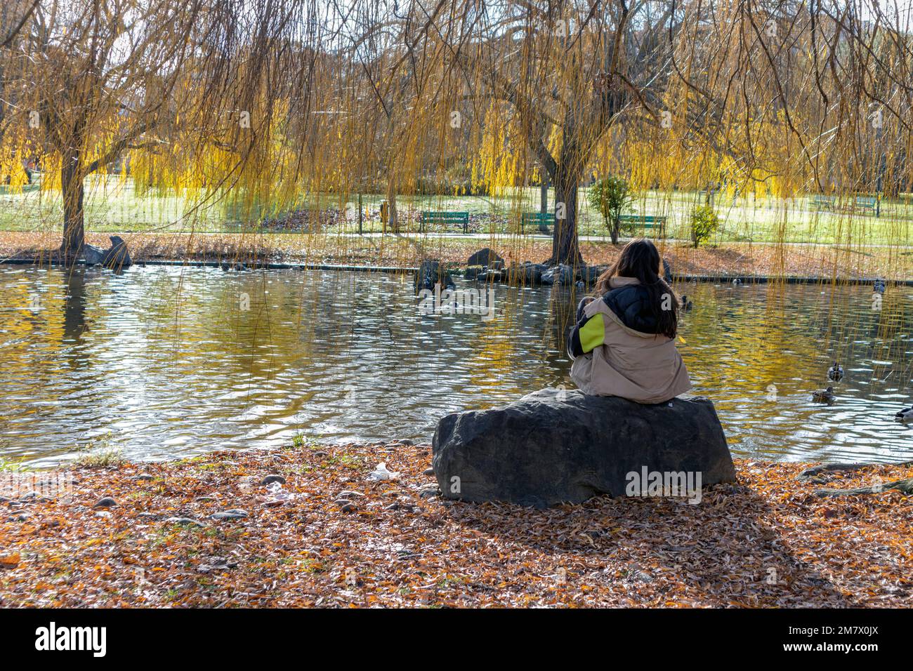 Woman sitting park rear view hi-res stock photography and images - Alamy