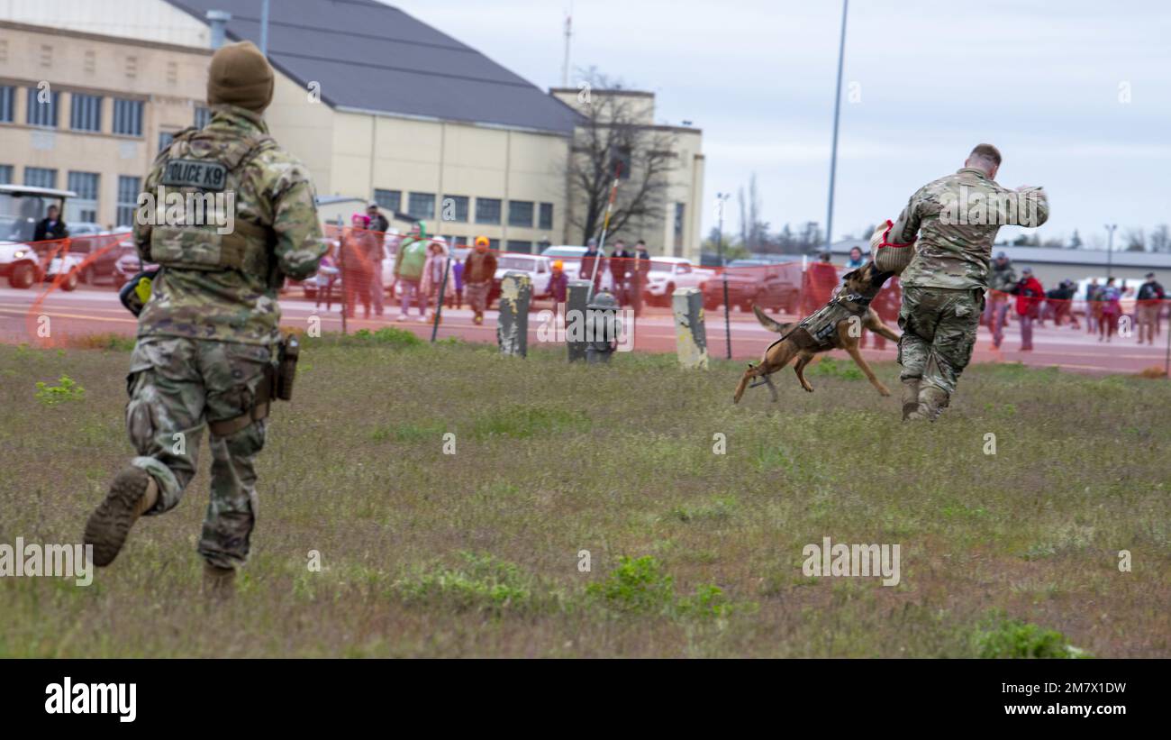 U.S. Air Force Airmen from the 92nd Security Forces Squadron perform a military working dog