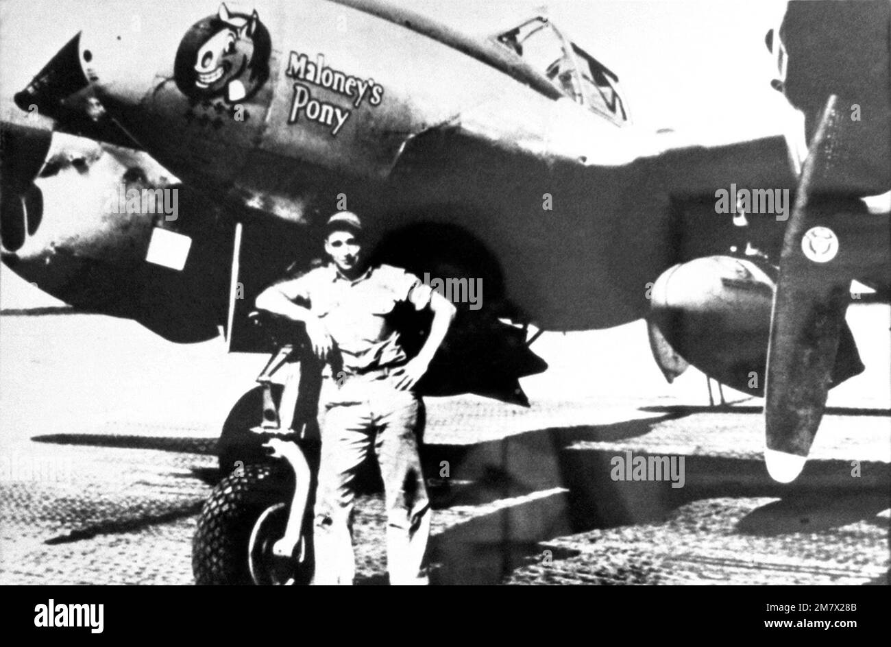 Maloney's Pony. Country Unknown Stock Photo Alamy