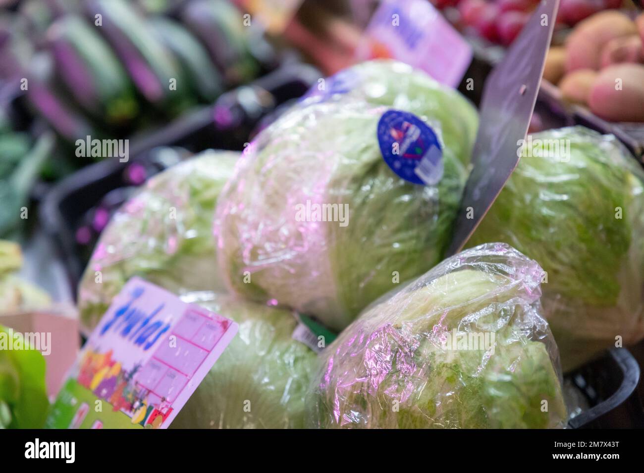 Lettuces. Fruit and vegetable stall. Stall with lettuce in a market in