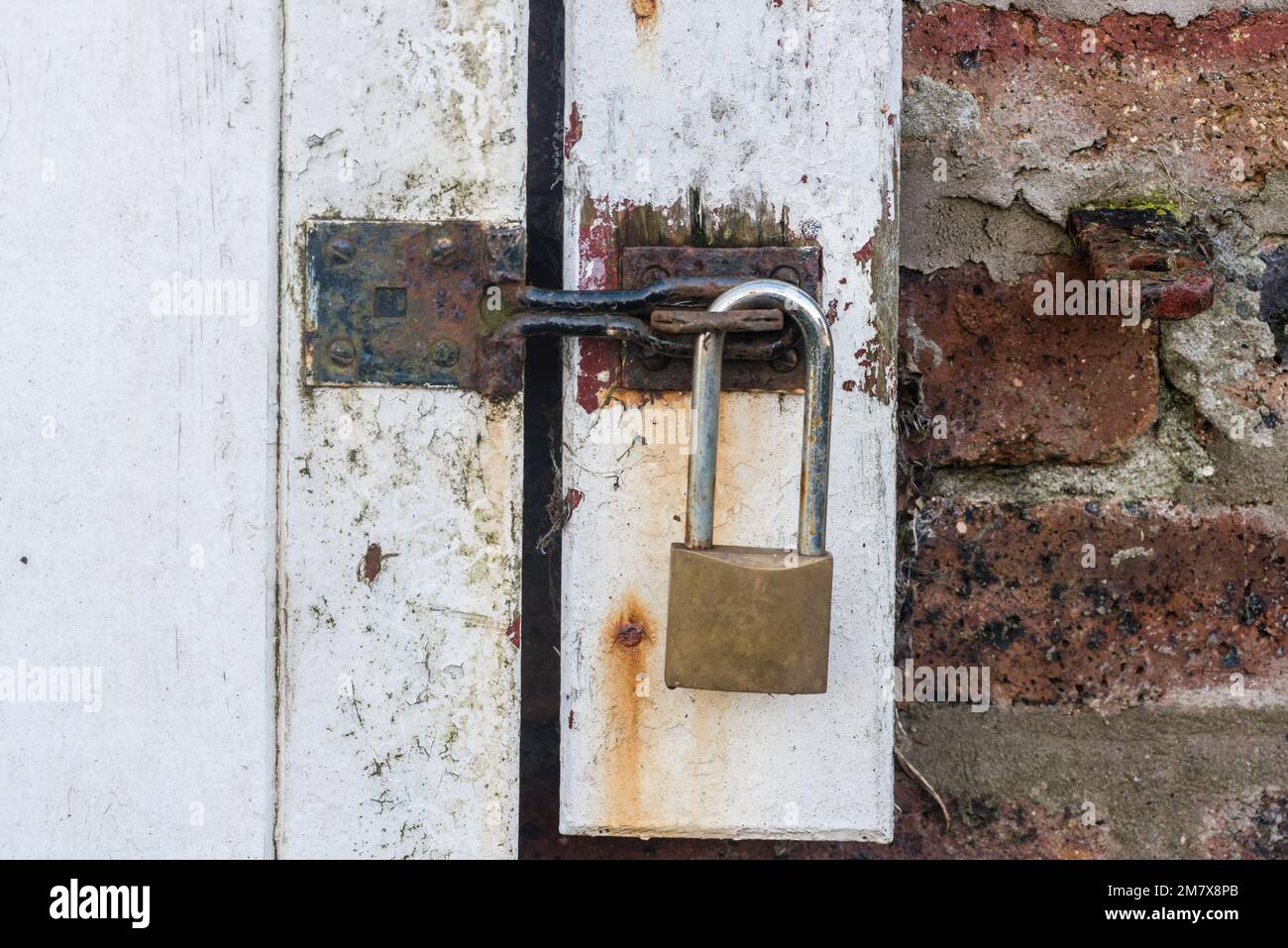 Padlock locking a steel bolt lock on a sliding door shed barn