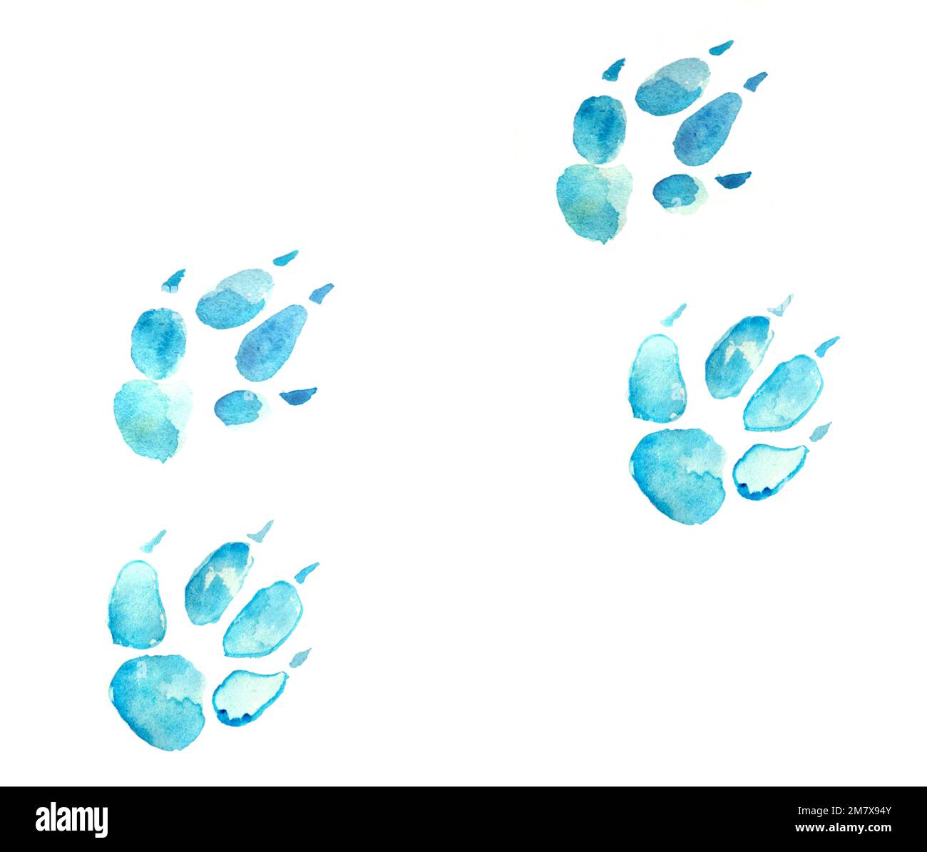 trace animal paw in the snow impress watercolor illustration winter Stock Photo