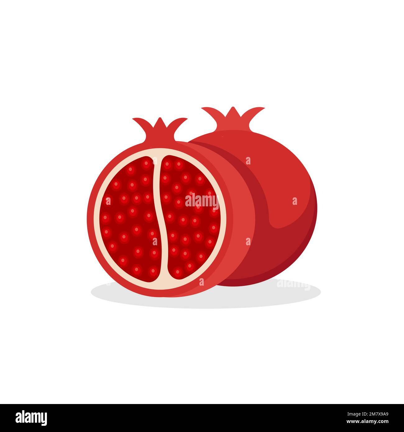 Pomegranate fruit isolated on white background. Vector illustration. Eps 10. Stock Vector