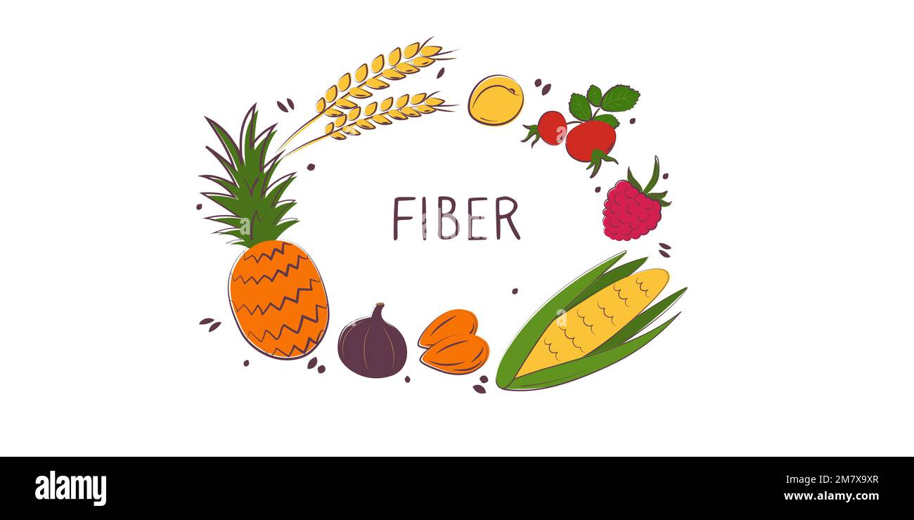 Fibercontaining food. Groups of healthy products containing vitamins