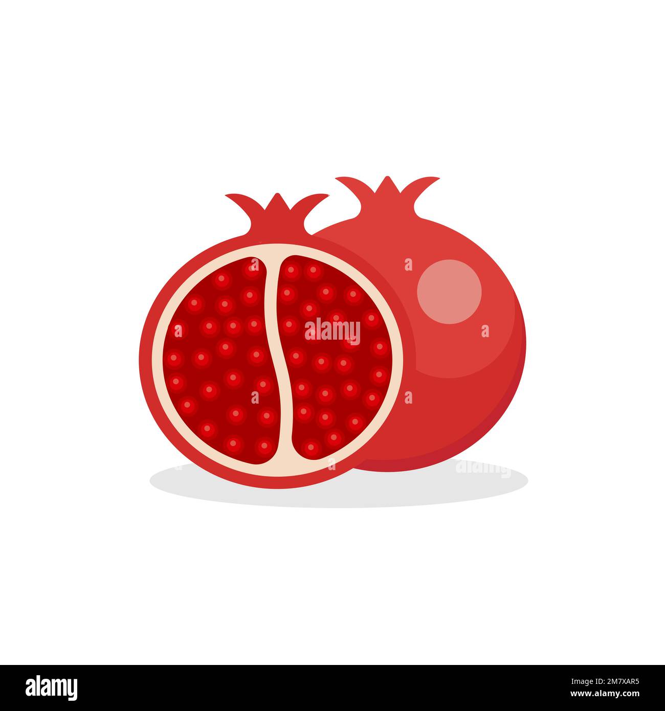 Pomegranate fruit isolated on white background. Vector illustration. Eps 10. Stock Vector