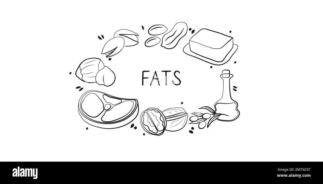 Fats-containing food. Groups of healthy products containing vitamins and minerals. Set of fruits, vegetables, meats, fish and dairy Stock Vector