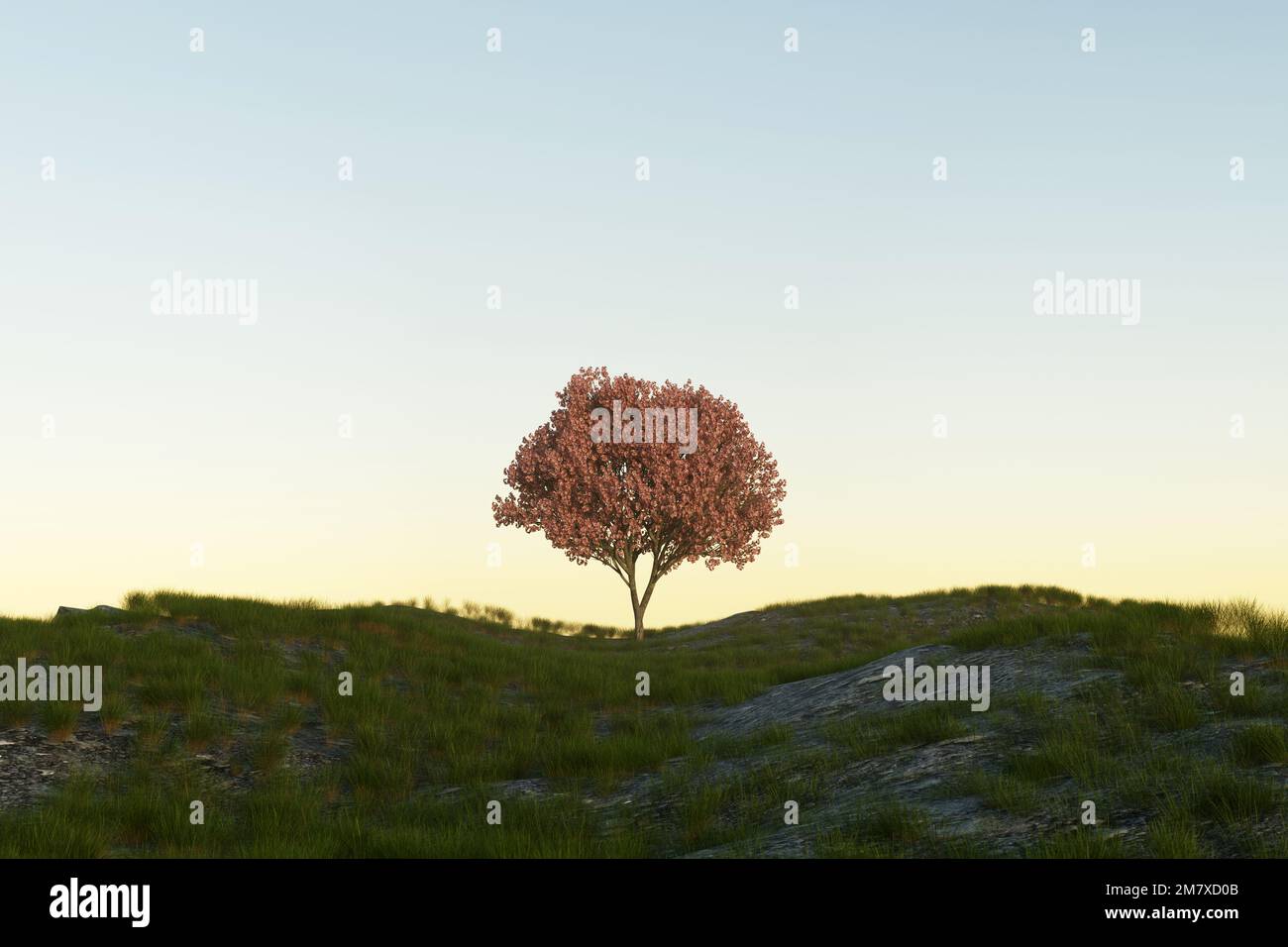 Tree Rendering Pink Render of nature hi-res stock photography and images - Alamy