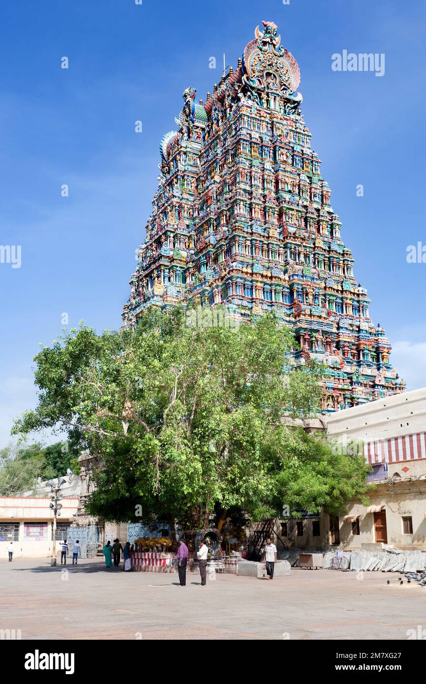Madurai, India-September 11, 2012. Many parishioners and pilgrims visit every year the Sri Meenakshi Hindu Temple where they pray and contemplate the Stock Photo