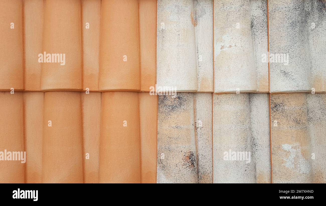 Roof Cleaning Services