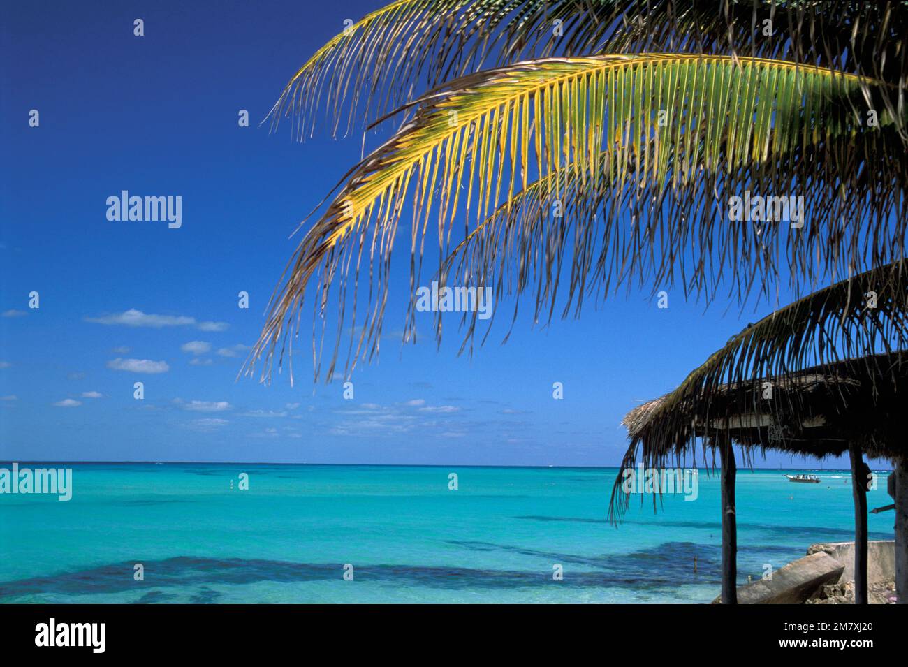 Mexico, Quintana Roo, Isla Mujeres, Playa Norte, Stock Photo
