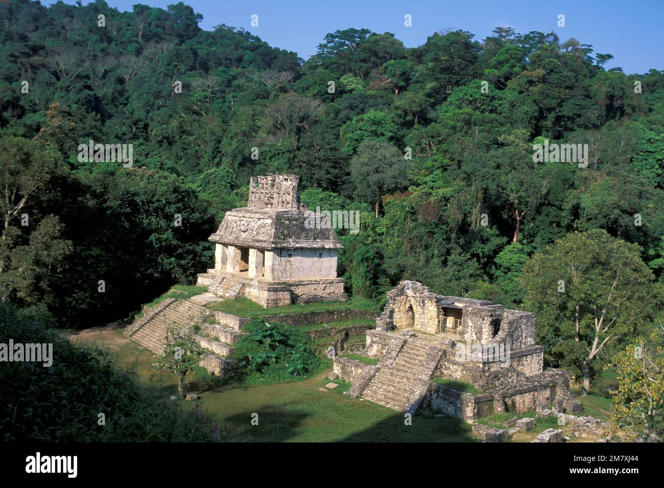 Mexico, Campeche, Maya Ruins, Palenque, UNESCO World Heritage, Stock Photo