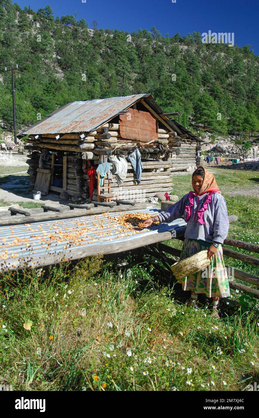 Tarahumara Indian house, near San Rafael, Copper Canyon, Chihuahua, Mexico Stock Photo