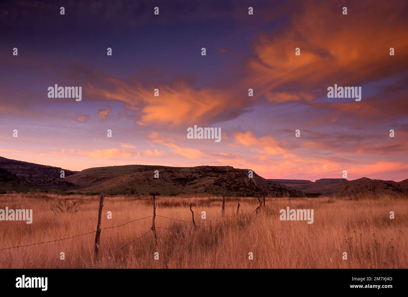 Landscape near Durango, Estado de Durango, Mexico Stock Photo - Alamy