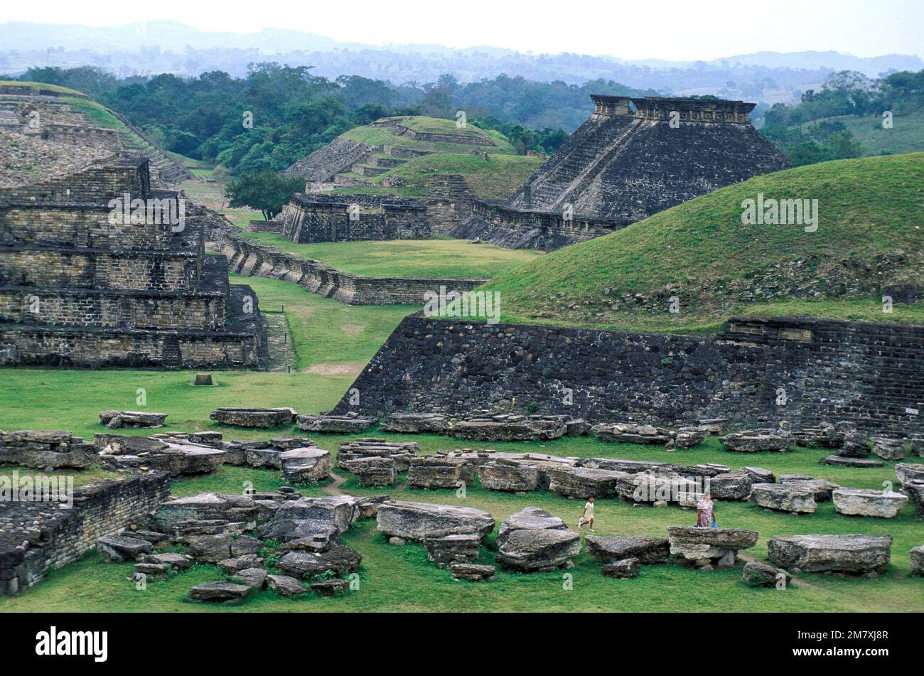 Mexico, Gulf Coast, Vera Cruz, Poza Rica, El Tajin, UNESCO World Heritage,  Mesoamerica, Pre-Columbian site Stock Photo - Alamy, image size:1300x951