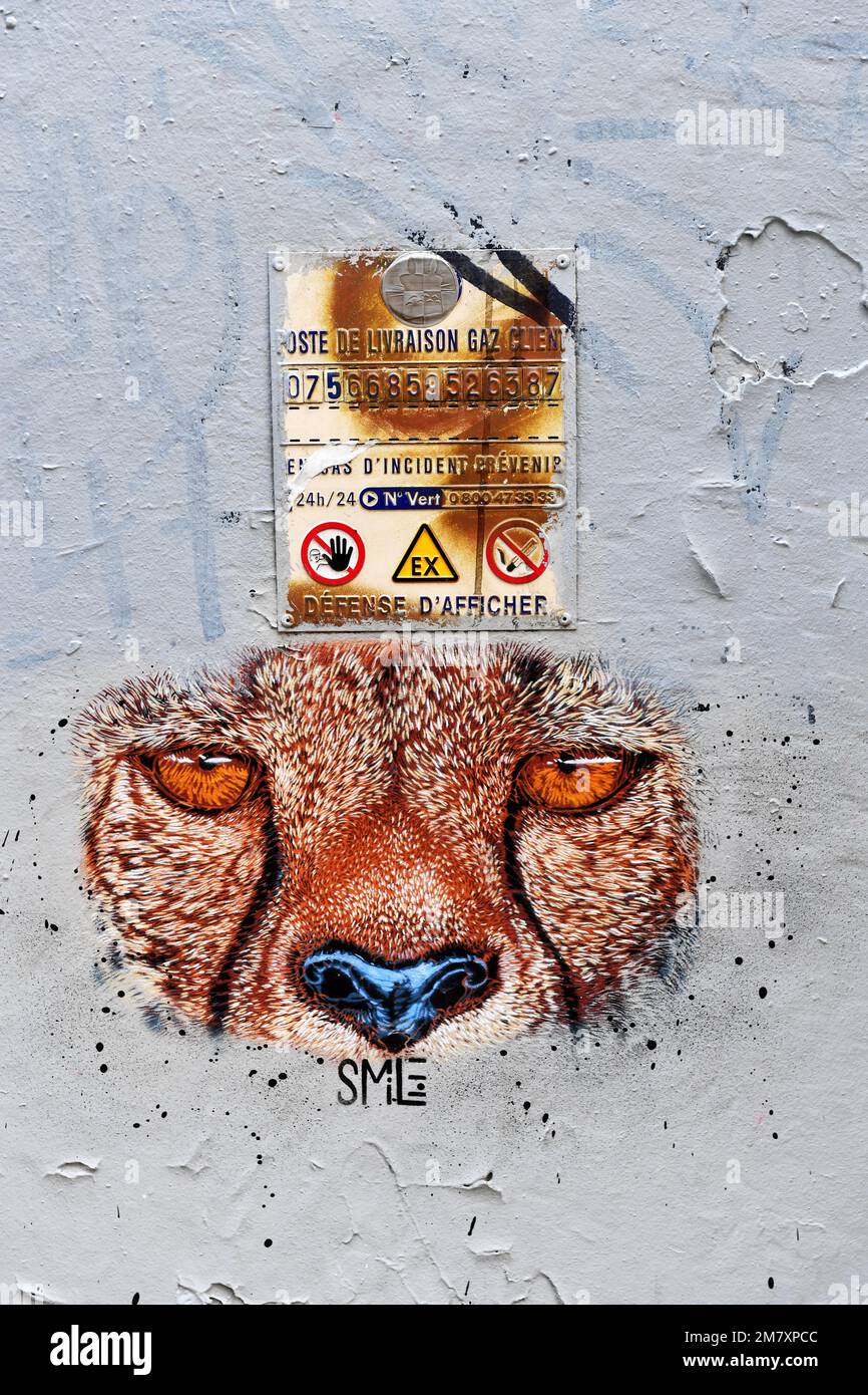 Street art in Paris France Stock Photo Alamy
