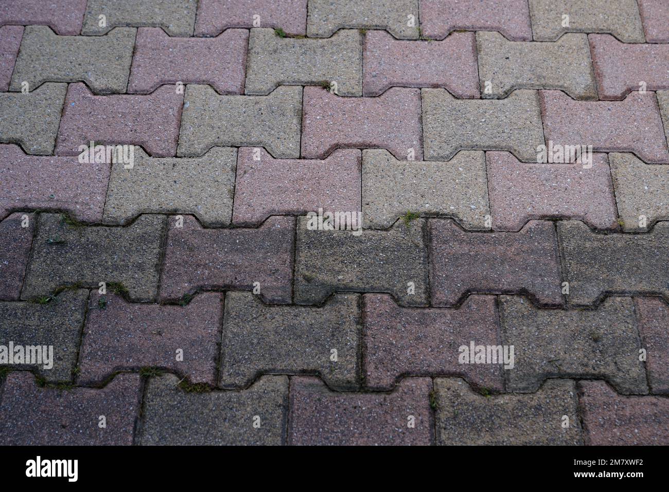 Contrast between patio paving slabs floor clean pressured washed before