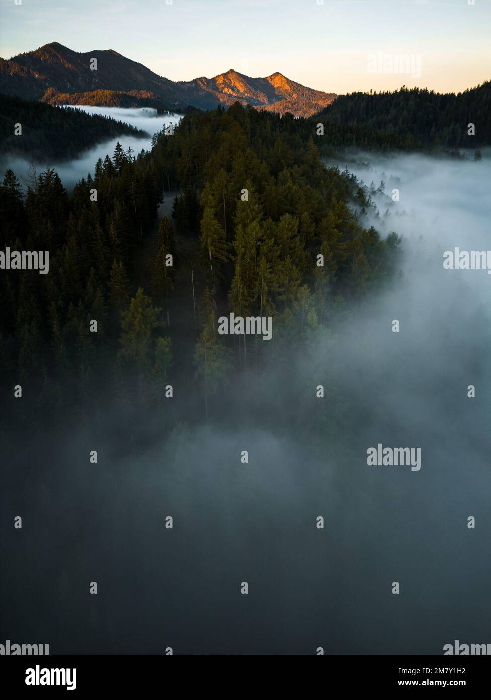A vertical aerial view of forests and mountains on a foggy day in ...