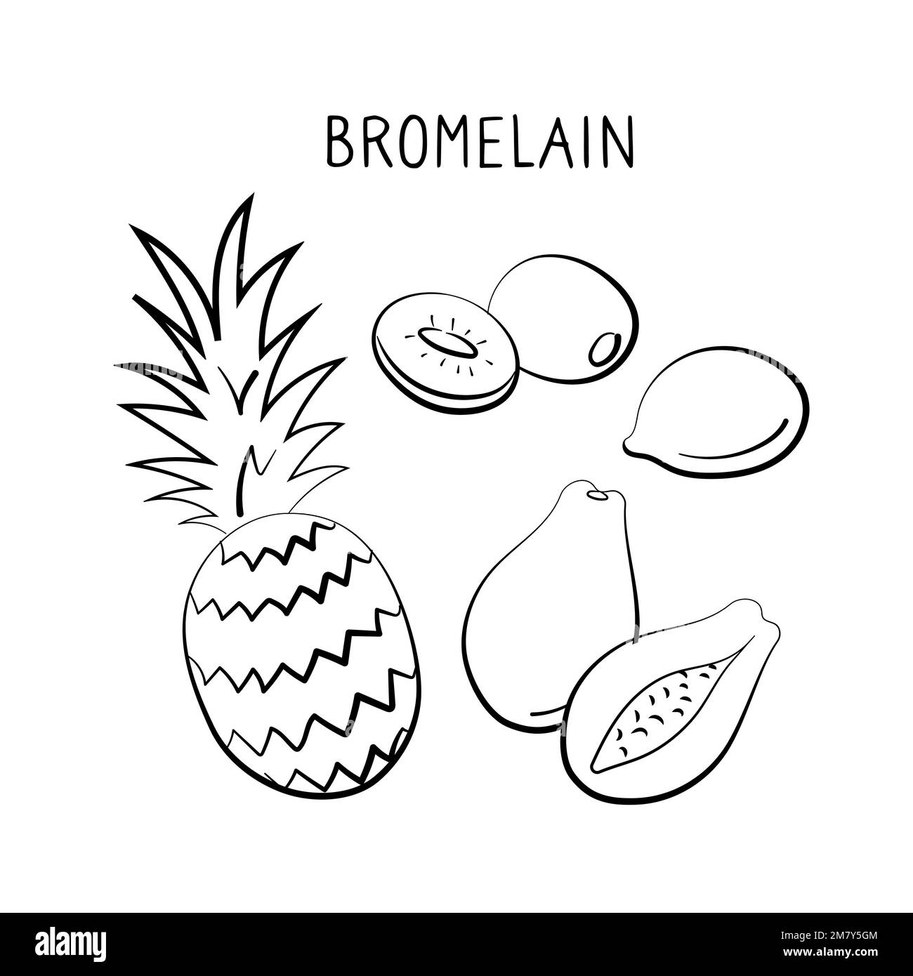 Bromelaincontaining food. Groups of healthy products containing