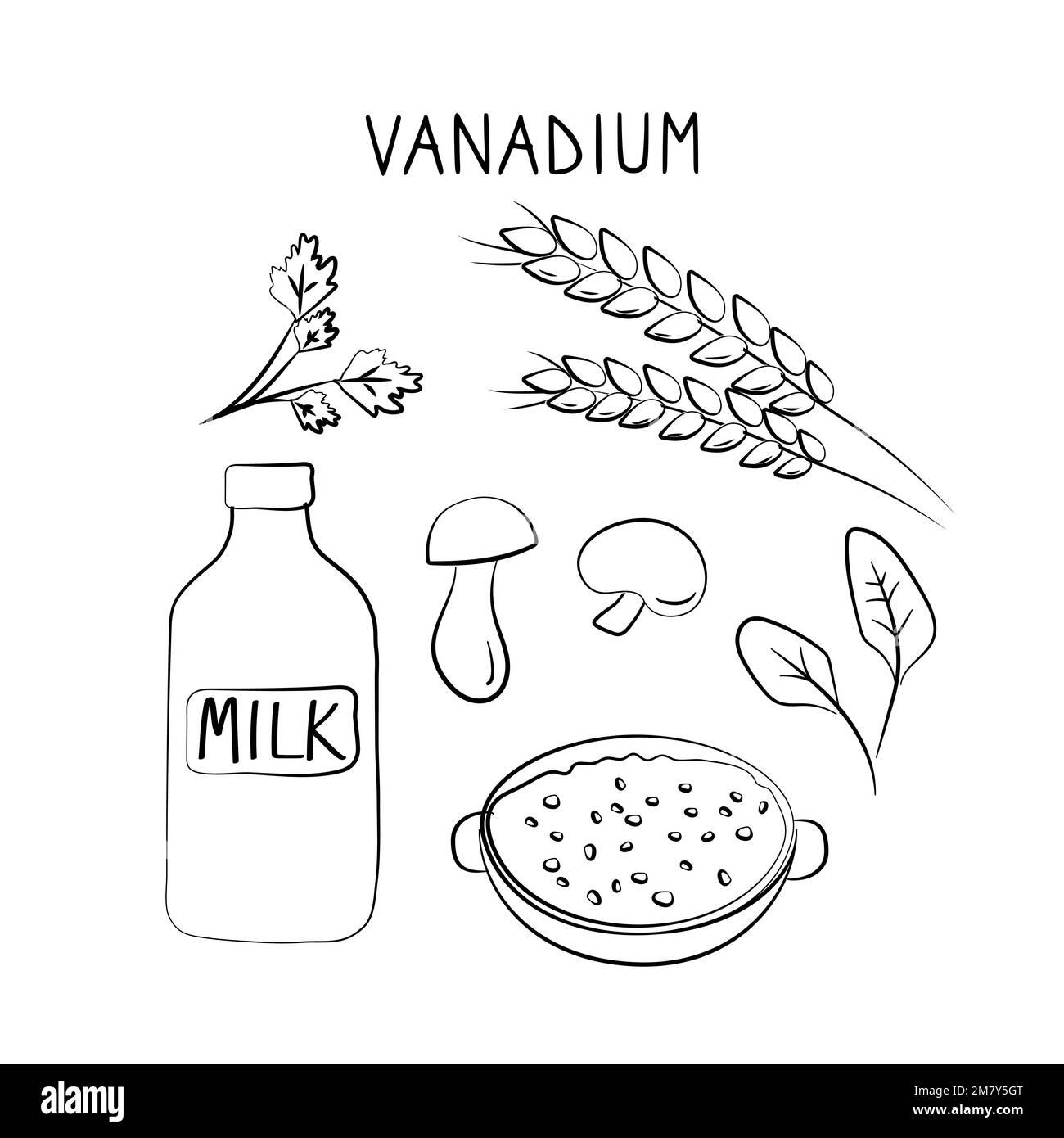 Vanadiumcontaining food. Groups of healthy products containing