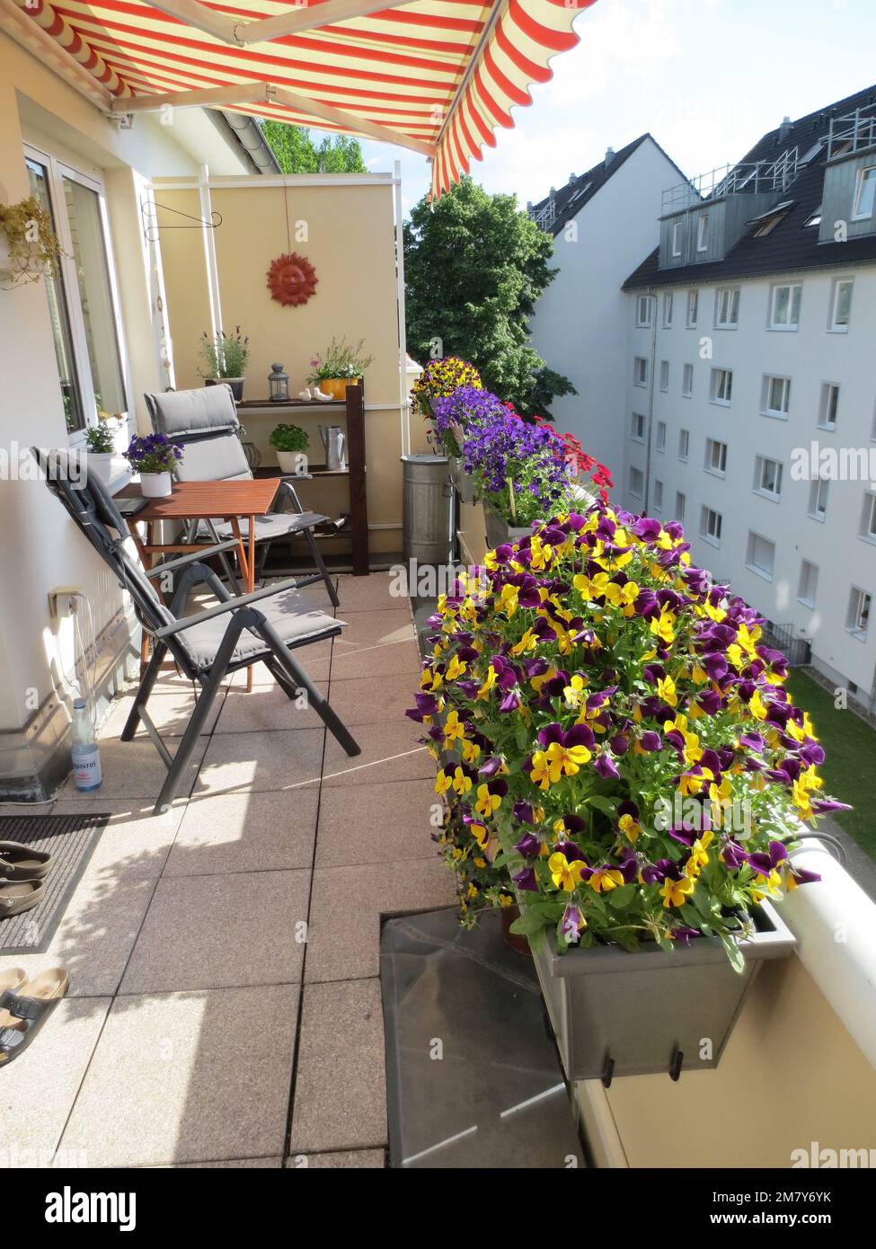 beautiful balcony with pansy flowers and sun protection Stock Photo