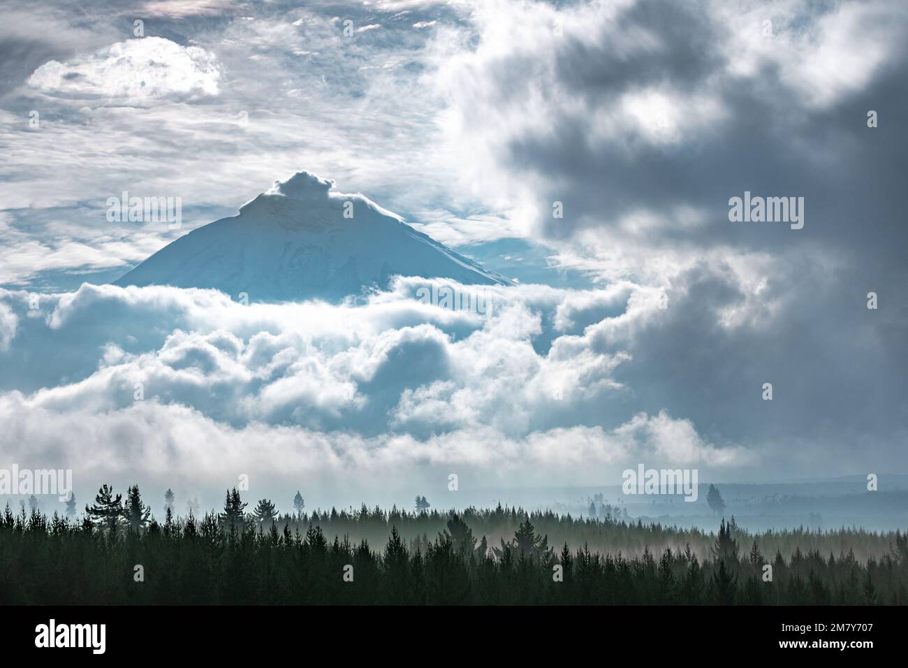 Chimborazo volcano in Andes, the highest mountain in Ecuador Stock ...