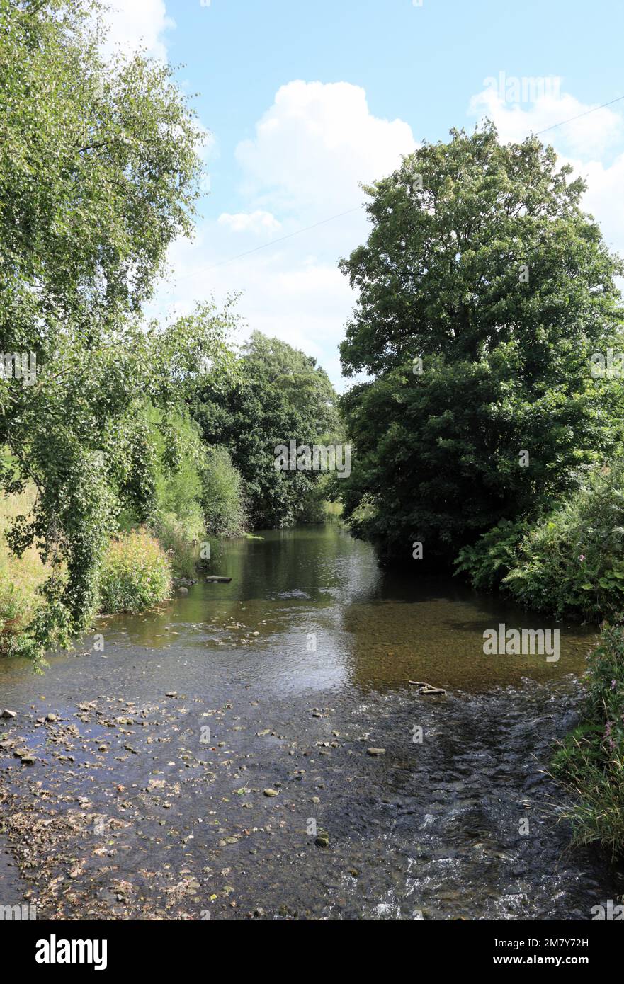 The River Darwen flowing through Hoghton Bottoms Lancashire England
