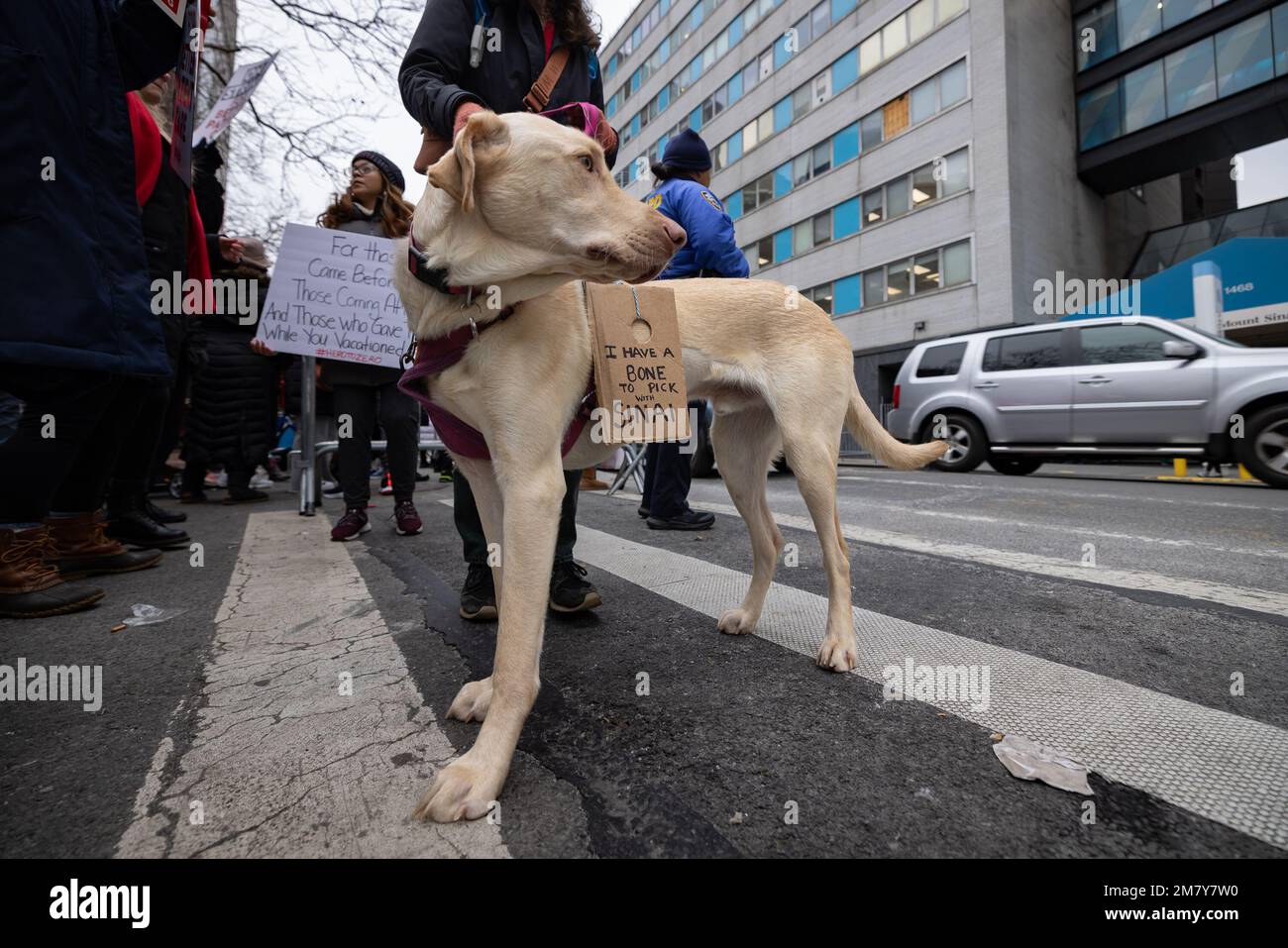 New York, New York, USA. 10th Jan, 2023. Nurses at Mount Sinai Hospital