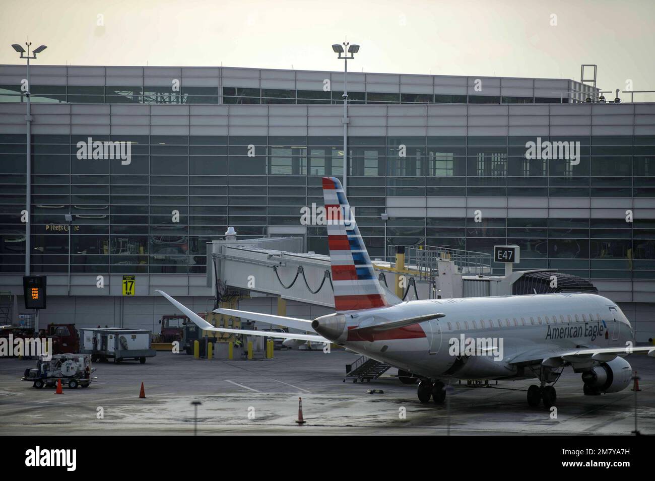 Washington, United States. 11th Jan, 2023. Planes are grounded at