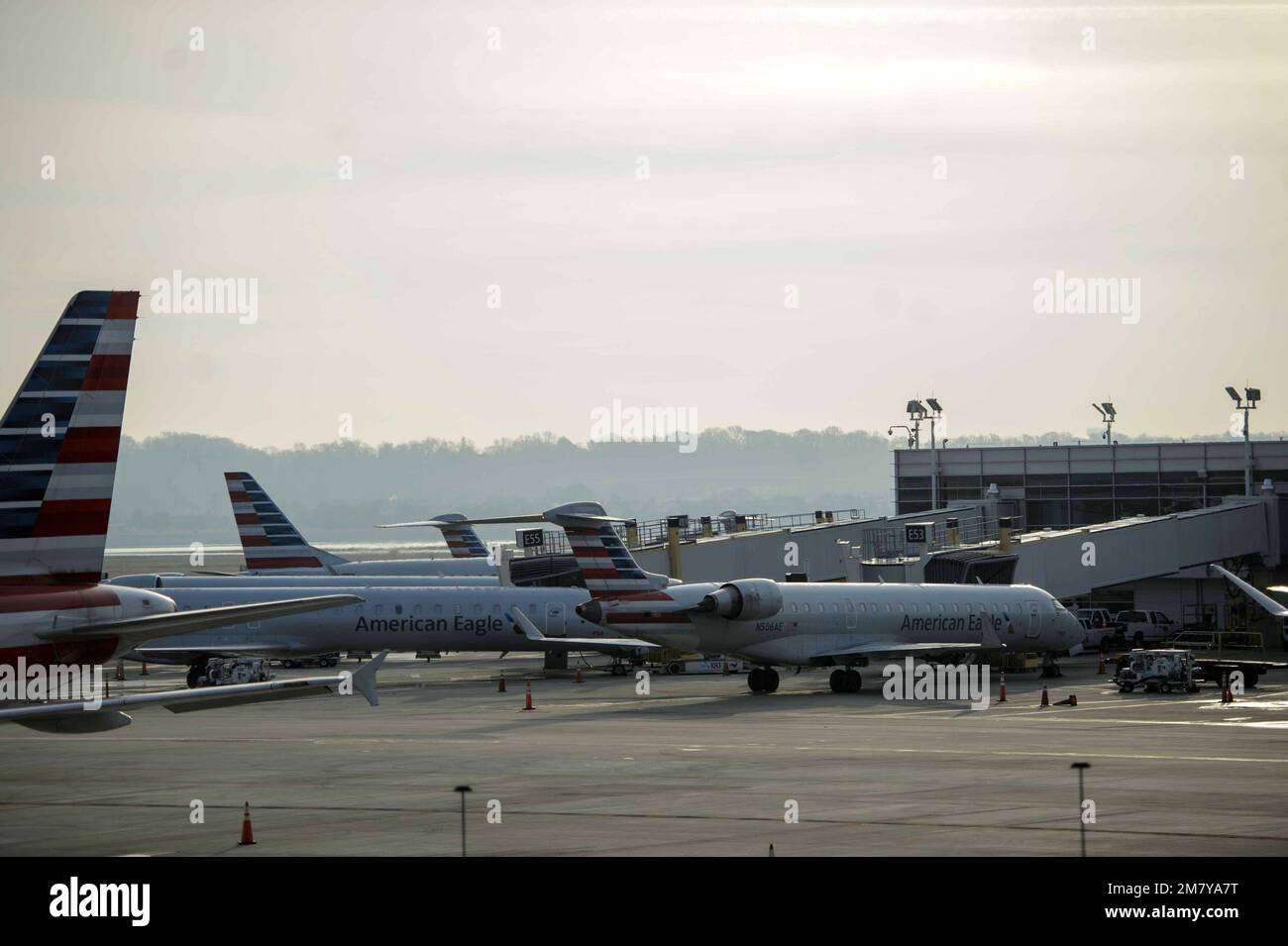 Washington, United States. 11th Jan, 2023. Planes are grounded at Reagan National Airport in Washington, DC after a system failure at Federal Aviation Administration (FAA) affected flights nationwide. The FAA enacted a nationwide ground stop on flight departures until 9 a.m. on Thursday, January 11, 2023. Photo by Bonnie Cash/UPI Credit: UPI/Alamy Live News Stock Photo