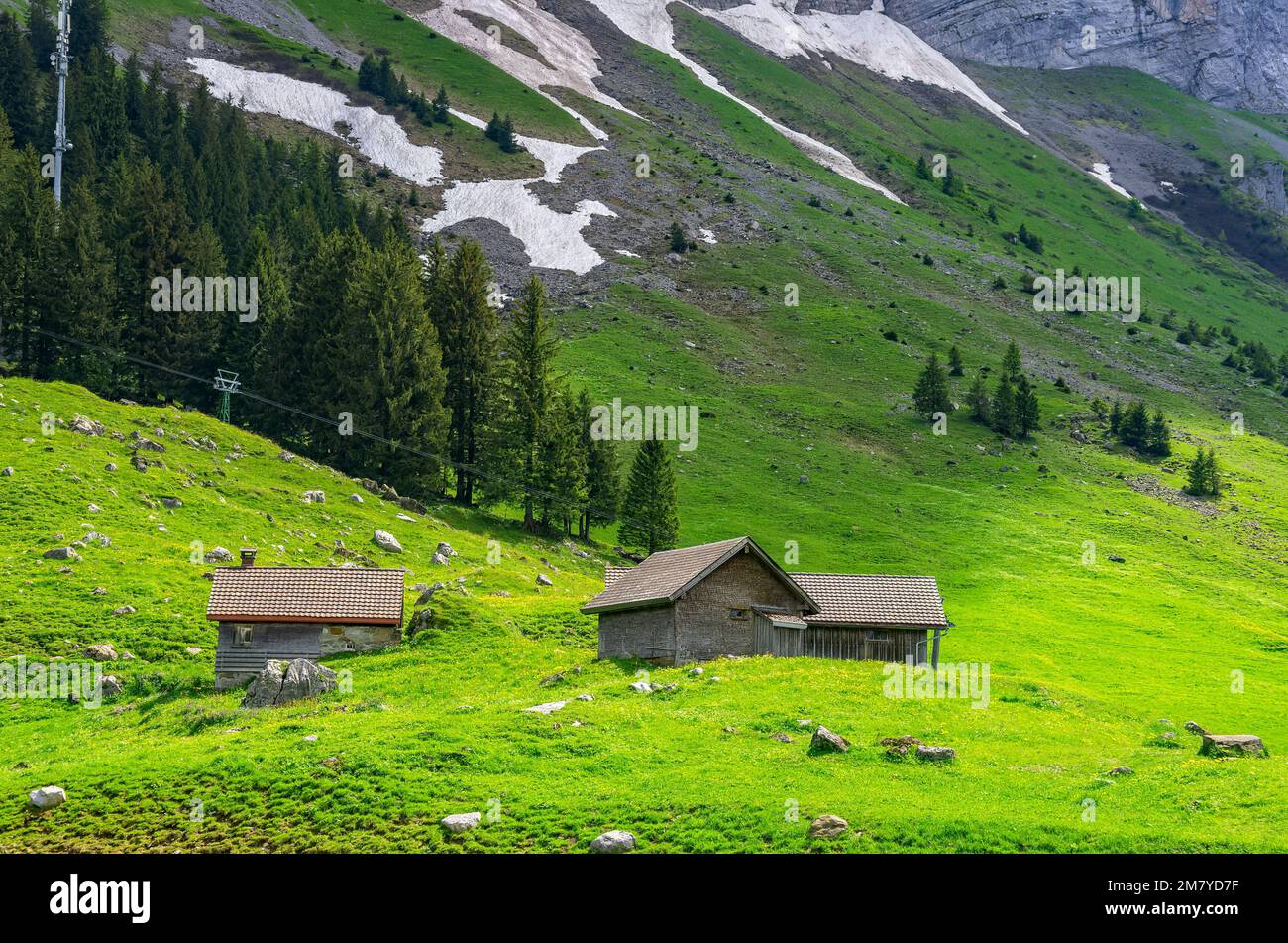 Mountain panorama at the foot of Säntis mountain on the Schwägalp, Appenzell Ausserrhoden, Appenzell Alps, Switzerland. Stock Photo