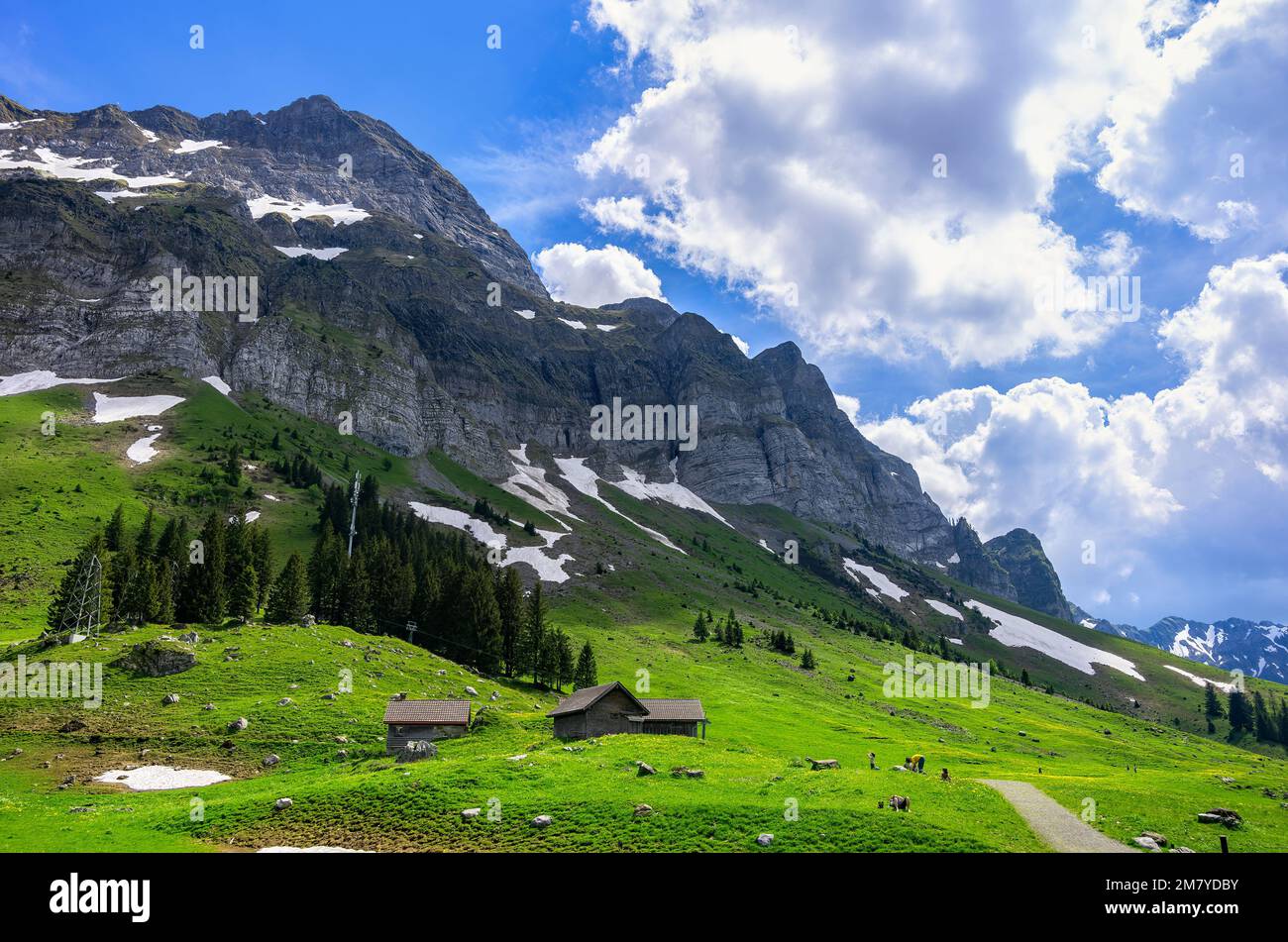 Mountain panorama at the foot of Säntis mountain on the Schwägalp, Appenzell Ausserrhoden, Appenzell Alps, Switzerland. Stock Photo