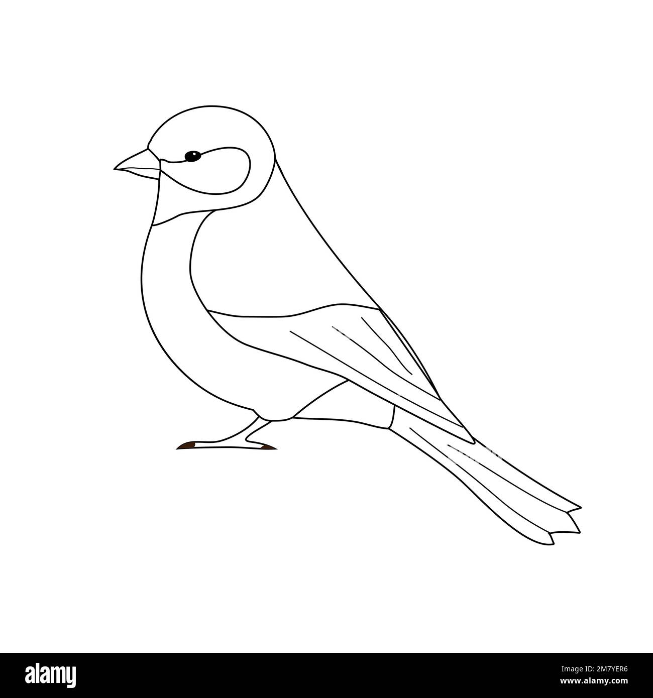 Vector hand drawn flat outline bullfinch bird Stock Vector Image & Art